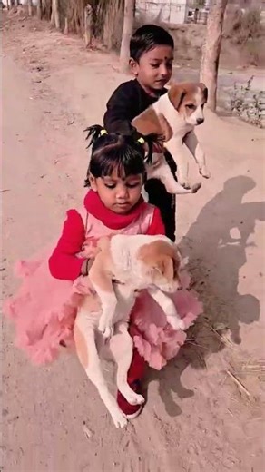 #bhojpuri #song #dance #khesari #bhojpurisong #funnysong #cutebaby