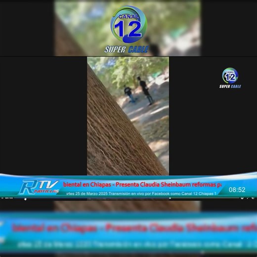 ¡Golpiza en el Cobach 13 Chiapas! Denuncian impunidad y amenazas de muerte. Padres de familia acusan a un estudiante del Cobach Plantel 13 en Tuxtla Gutiérrez de golpear brutalmente a un compañero y amenazarlo de muerte. Según denuncias, el agresor presume influencias políticas gracias a su madre, funcionaria de Protección Civil en Pantelhó. #Noticias #chiapasmexico #TuxtlaGutierrezChiapas #tuxtlagutierrez #NoticiasChiapas | Canal 12 Chiapas TV
