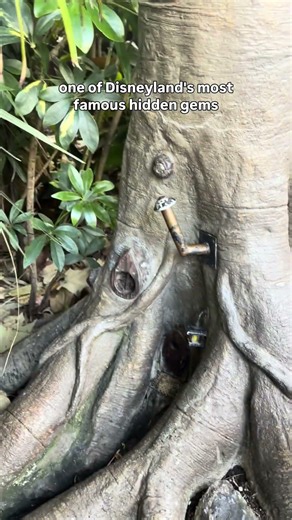 Hidden Things to Find in Adventureland! 🌴🗺️ #disneyland