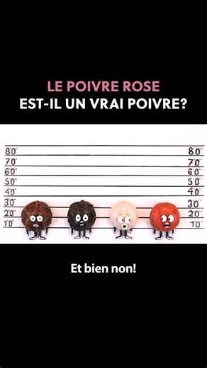 Est-ce que le poivre rose fait parti de la même famille que le fameux poivre noir? 🤔 Trouvez la réponse à cette question qui vous empêche de dormir dans notre dernière vidéo! Cliquez-ici pour essayer notre poivre rose de Madagascar! 👉 bit.ly/poivre-rose | Épices de Cru