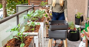 Compost en appartement : comment faire ?