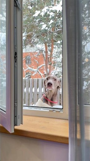 When Monu helped Sonu compose a song #youtubeshorts #viralshort