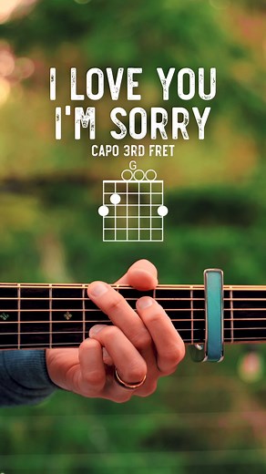I Love You I’m Sorry - Gracie Abrams Guitar Lesson using my Zager Easy Play Custom Guitars #gracieabrams #iloveyouimsorry #guitar #guitarlesson #guitarlessons #guitartutorial #guitarchords #guitarcover #guitarist #guitarplayer #guitarra #acoustic #acousticguitar #zagerguitars #thaliacapos #elixirstrings | The Groovy Guitar Dude