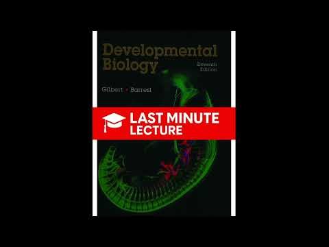 Building with Mesoderm & Endoderm | Unit 5 – Developmental Biology (11th)