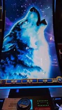 Wonder 4 Boost Gold - Timber Wolf Gold Bonus 🐺