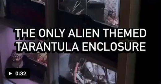 Awesome enclosure - Video