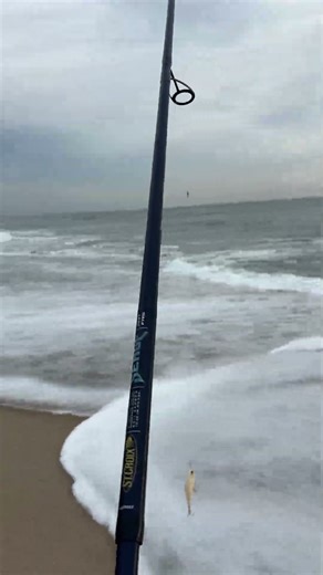 Point Pleasant surf fishing report December 4