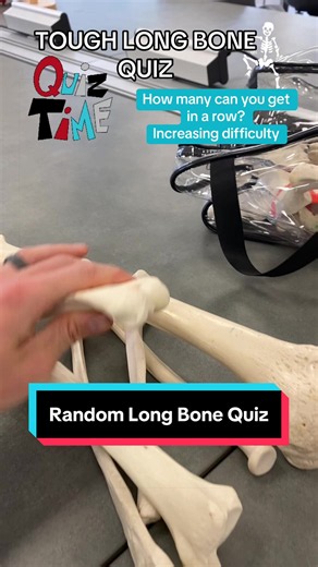 How well can you do? Random long bone quiz! #anatomy #bones #edutok #quiz #quizchallenge