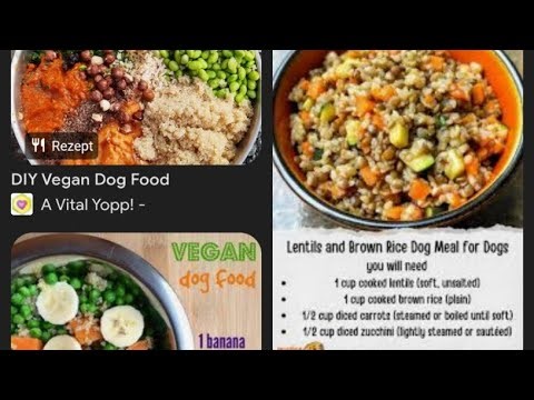 On this stream, I share vegan, plant-based dog food recipes made without animal exploitation