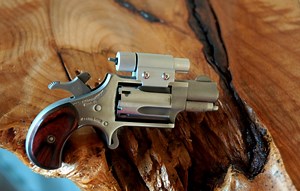 Review Follow-Up: Accuracy Testing NAA's Mini-Revolver - The Truth About Guns