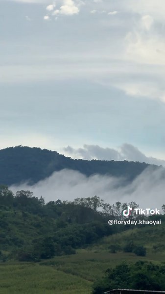 แวะเติมเขาเติมหมอกได้ที่ Floryday Khaoyai นะคะ🍃💐#florydaykhaoyai #สวนดอกไม้ #เขาใหญ่ #หมอก #ทริปเขาใหญ่