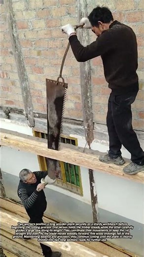 Two Workers Cutting a Long Wooden Plank Lengthwise with Precision