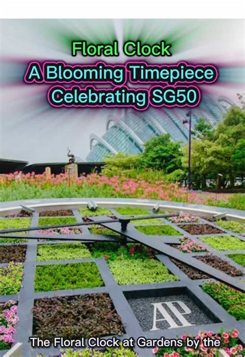 Floral Clock — A Blooming Timepiece Celebrating SG50 The Floral Clock is a large outdoor timepiece located at Gardens by the Bay near the Supertree Grove and the cooled conservatories. Combining horticulture with mechanical engineering, the clock features colourful tropical plants arranged around a working clock mechanism. Measuring about seven metres in diameter, it is one of Singapore’s most distinctive garden installations and reflects the nation’s “City in a Garden” vision, blending nature, 