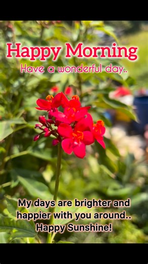 🌟 Mornings are like nature in spring… humming with the sounds of life and the promise of a fresh new day! Good Morning 🌺🌹#goodmorning #morningvibes #happymorning #morning | Good Morning Quotes, Images, Wishes