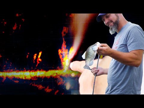 Stake bed crappie fishing on Carlyle Lake