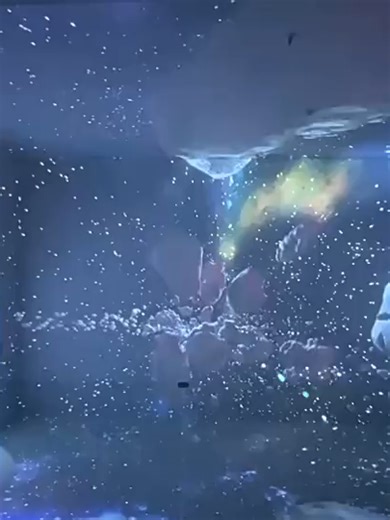 How can exhibitions stand out in the era of immersive technology? The answer lies in CPJROBOT POE LiDAR — bringing holographic visuals and interactive projection to exhibition halls. Visitors can explore content in a whole new way, engaging through natural movements and gestures. From cultural showcases to product demos, this innovation redefines audience experiences. info@poelidar.com www.poelidar.com #LiDAR #InteractiveProjection #ExhibitionTech #HolographicDisplay #ImmersiveExperience #SmartI