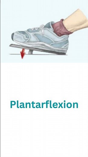 Ankle Foot Toes Range of motion -Dorsiflexion Plantar flexion Eversion Inversion#anatomy #excercise