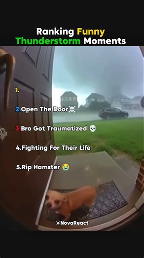 Ranking Top 5 Thunderstorm Funny Moments ☠️