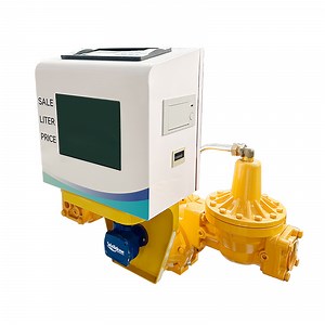 [Hot Item] Fuel Flow Meter Positive Displacement Flowmeter for Diesel