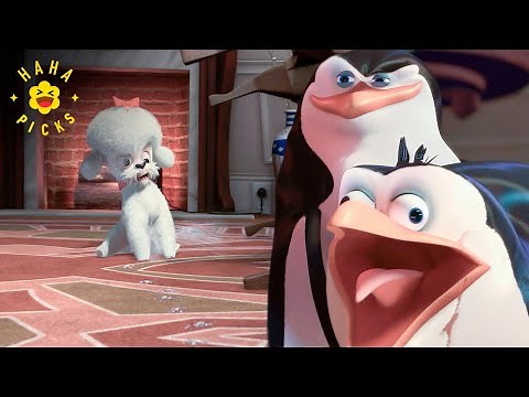 The Penguins Fight the Dog in the Apartment | Penguins of Madagascar in a Christmas Caper