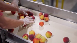 2.6K views · 43 reactions | The Farm Passport, featuring over 90...