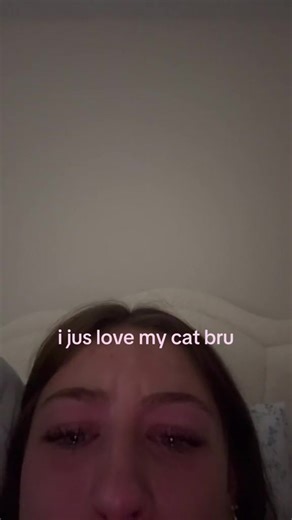 Understanding the Perfect Cat Personality