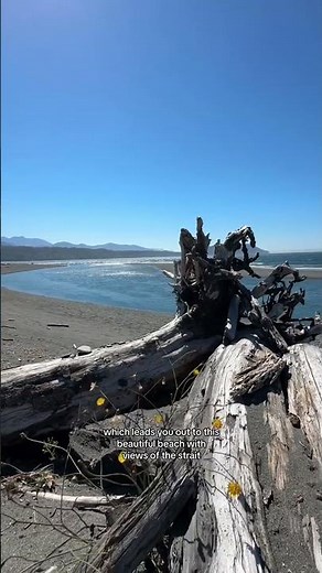 A hidden beach trail in the Olympic Peninsula 👀 Well I suppose this trail isn’t exactly hidden, but