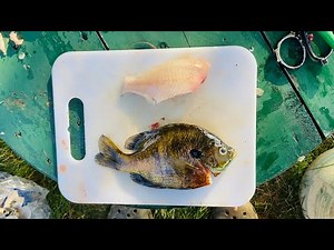 How to Clean ALL PANFISH - Keep all the Meat!!