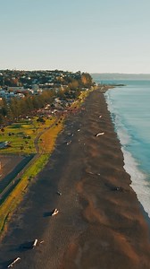 24K views · 15 reactions | Super Early Entry Prices end at midnight on 14 August! Enter now & save! Don't miss New Zealand's best finish-line food & wine festival at Elephant Hill Estate & Winery! 拾 | Hawkes Bay Marathon | Facebook