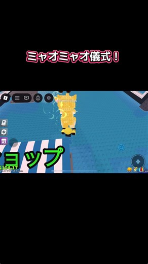 ミャオミャオの儀式のやり方を解説！