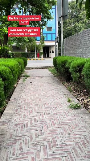 Punjab university Lahore on TikTok