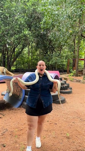 Lady Gaga the albino carpet python retires this Sunday after 17 years delighting visitors at Territory Wildlife Park with her “blonde and fabulous” presence. Find out who her replacement will be 👉 https://bit.ly/4sT3I04 | The NT News