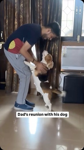 106K views · 26K reactions | This time Aishu hid himself and the way doodle’s searching for him is so cute ☺️ (Dog dad, dad reunion with dog, dog reaction) | Doodle | Facebook
