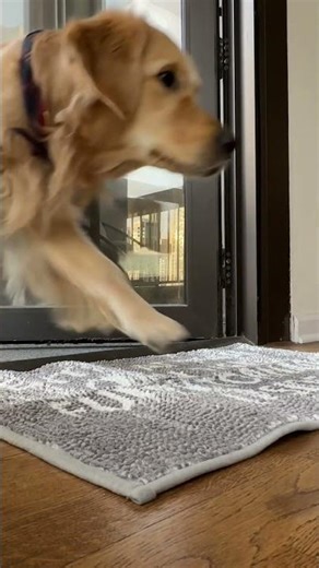 Muddy Mat makes it easy to keep your home clean #shorts