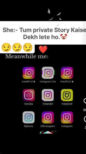 SERECTS APPS TO WATCH PRIVATE INSTA STORY#explorewithroshan