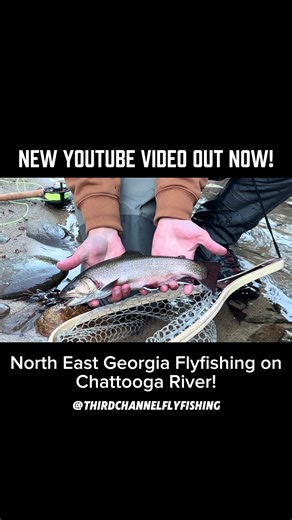 Fly Fishing Tips for Trout Lovers and Brookies