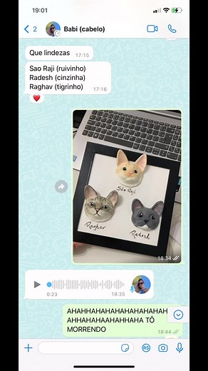 Canonizando o Gato da Cliente