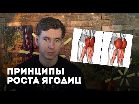 Что НА САМОМ ДЕЛЕ растит мышцы | 4 главных фактора