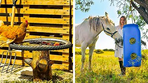 4.8K views | Helpful farm hacks and animal spa | 3-Minute Hacks | Facebook