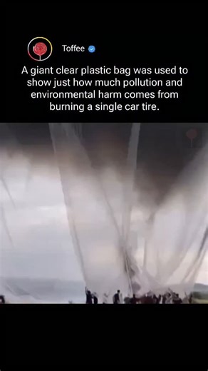 Toffee on Instagram: "A giant clear plastic bag was used to visually demonstrate the shocking amount of pollution released by burning just one car tire. As thick, dark smoke filled the transparent bag, it exposed the hidden environmental damage usually invisible to the human eye. This powerful experiment highlights how tire burning releases toxic gases, fine particulate matter, and harmful chemicals that contaminate the air, harm human health, and contribute to climate change. By turning polluti