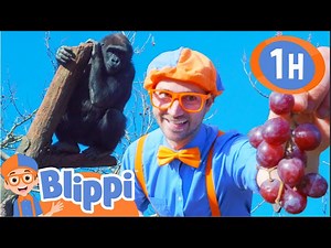 Blippi Feeds the Animals at the Zoo! | 1 HOUR OF BLIPPI TOYS! | Animal Videos for Kids - Videos For Kids