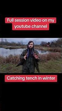 Catch big bags of tench this winter. It is possible with the right tactics #tenchfishing #fishinguk