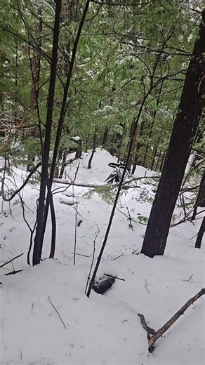 we found an old arsenic mill out in the middle of the woods! #curiosity #snow #building #abandoned