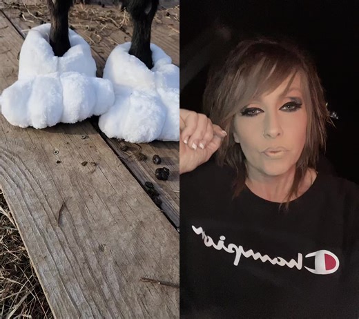 Fun Goat and Human Interaction: A Unique Duet