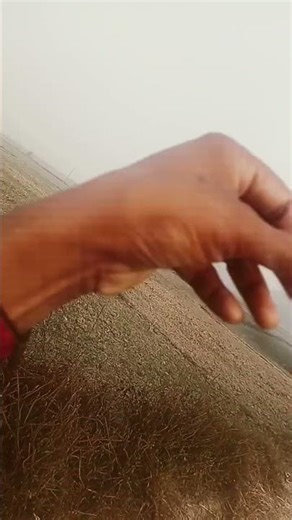 पापा के परी #bhojpuri #dance #song #bhojpurisong