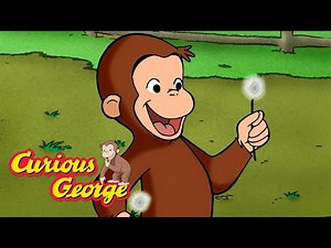 George Plants New Wildflowers 🐵 Curious George 🐵 Kids Cartoon 🐵 Kids Movies