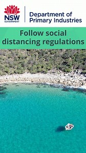 80 reactions · 17 shares | Pay the NSW Fishing Fee, know the rules and fish safely and responsibly | NSW Fisheries | Facebook