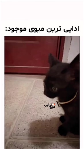 Avina (@avina773)’s videos with original sound - Avina