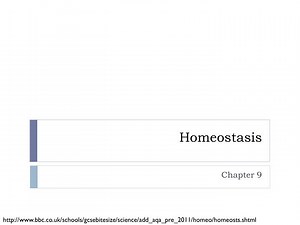 Homeostasis - SlideServe
