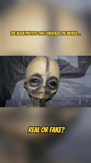 Alien real photo #alien #photo #galaxy #astronomy #space